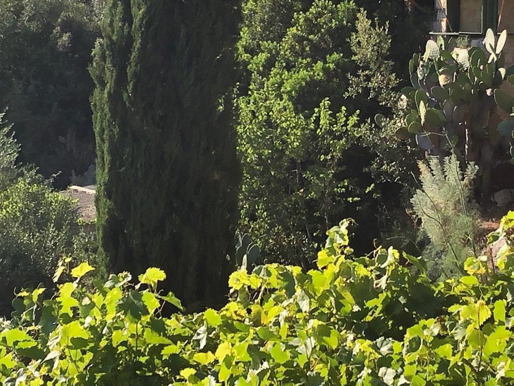 Vistalago Garden Doria Monteleone Rocca Doria Zewnętrze zdjęcie