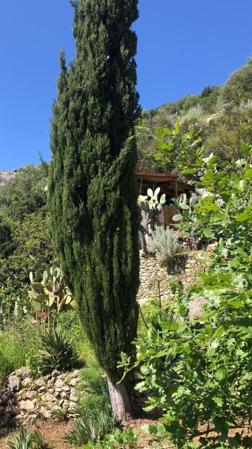 Vistalago Garden Doria Monteleone Rocca Doria Zewnętrze zdjęcie