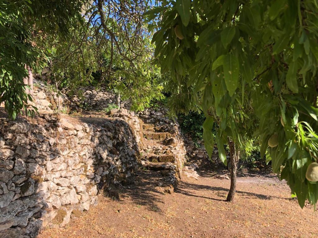 Vistalago Garden Doria Monteleone Rocca Doria Zewnętrze zdjęcie
