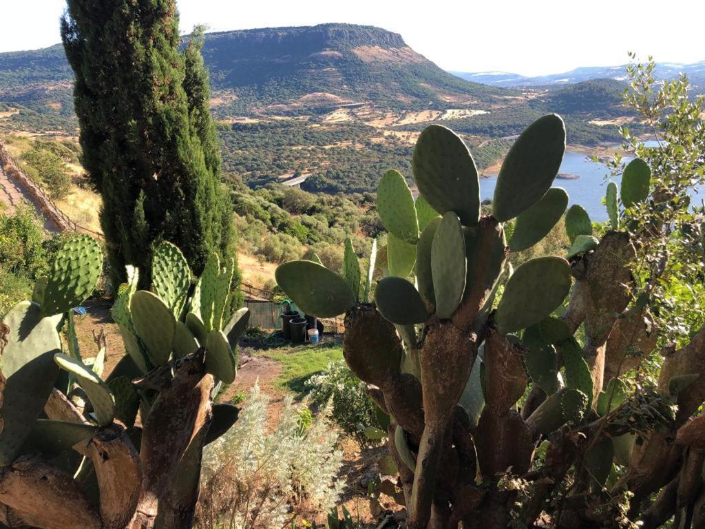 Vistalago Garden Doria Monteleone Rocca Doria Zewnętrze zdjęcie