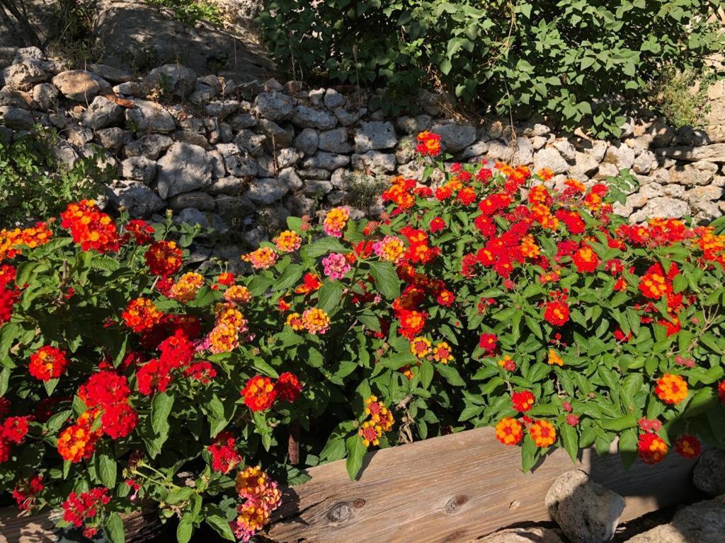 Vistalago Garden Doria Monteleone Rocca Doria Zewnętrze zdjęcie